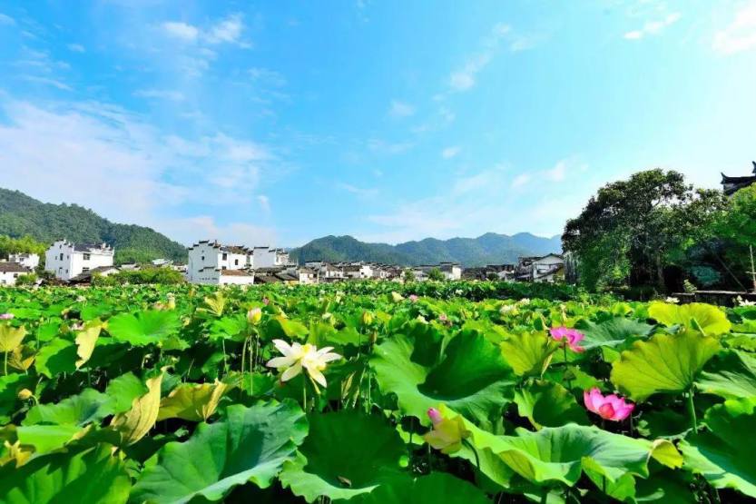 微信圖片_20180903134238